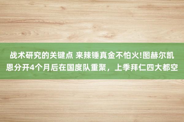 战术研究的关键点 来辣锤真金不怕火!图赫尔凯恩分开4个月后在国度队重聚，上季拜仁四大都空