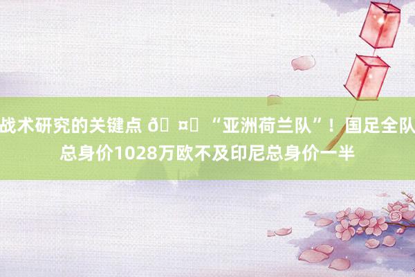 战术研究的关键点 🤔“亚洲荷兰队”！国足全队总身价1028万欧不及印尼总身价一半