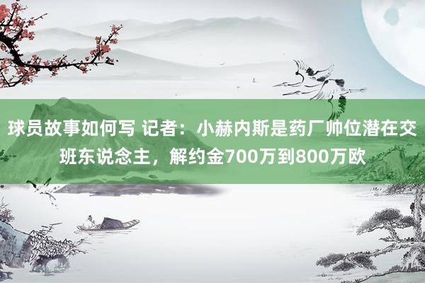 球员故事如何写 记者：小赫内斯是药厂帅位潜在交班东说念主，解约金700万到800万欧