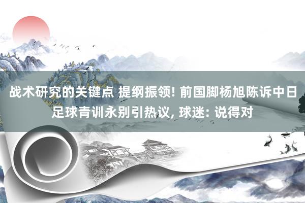 战术研究的关键点 提纲振领! 前国脚杨旭陈诉中日足球青训永别引热议, 球迷: 说得对