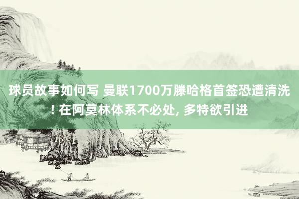 球员故事如何写 曼联1700万滕哈格首签恐遭清洗! 在阿莫林体系不必处, 多特欲引进