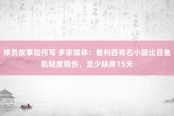 球员故事如何写 多家媒体：普利西奇右小腿比目鱼肌轻度毁伤，至少缺席15天