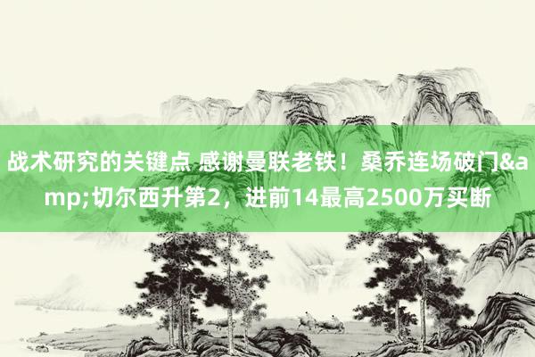 战术研究的关键点 感谢曼联老铁！桑乔连场破门&切尔西升第2，进前14最高2500万买断