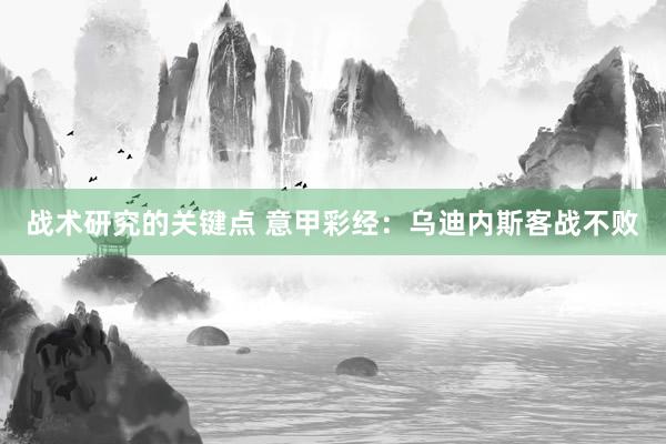 战术研究的关键点 意甲彩经：乌迪内斯客战不败