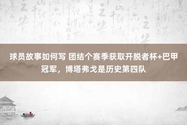 球员故事如何写 团结个赛季获取开脱者杯+巴甲冠军，博塔弗戈是历史第四队