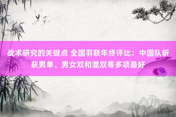 战术研究的关键点 全国羽联年终评比：中国队斩获男单、男女双和混双等多项最好